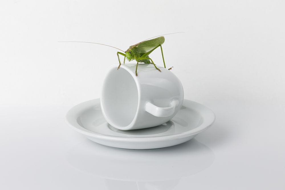 Фотография автора Евгений Печенин