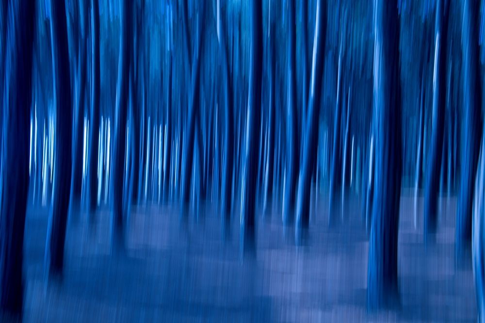 Photograph by Juraj Benčík