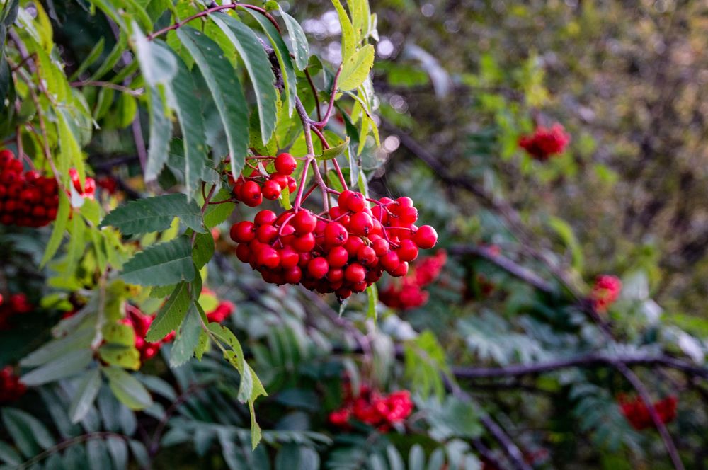 Photograph by Максим