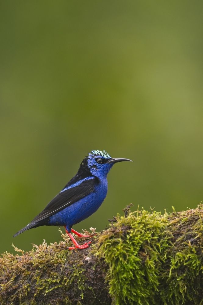 Photograph by Juraj Benčík