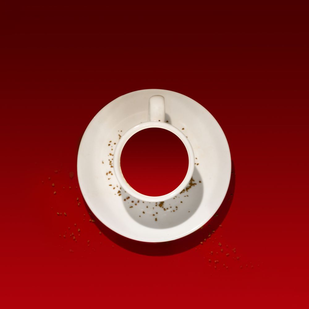 Photograph by David Lerer