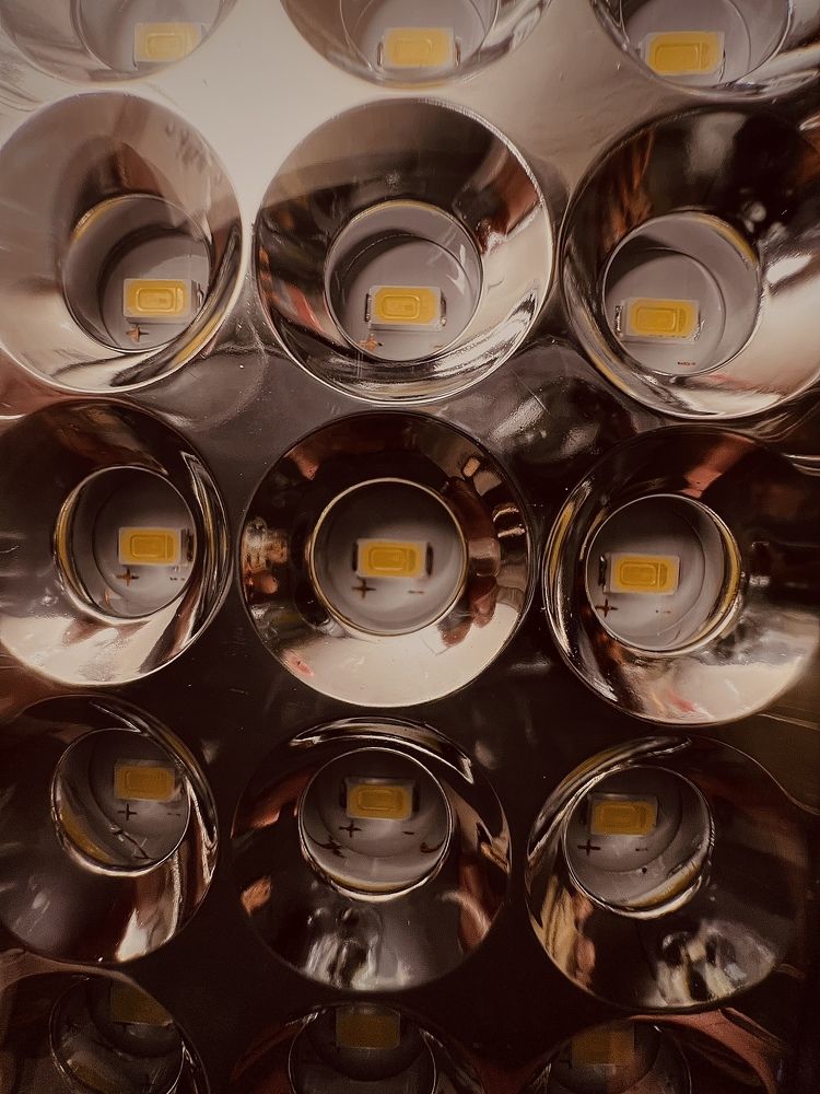 Photograph by Shannon