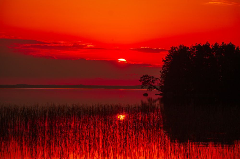 Photograph by Ольга Левакова