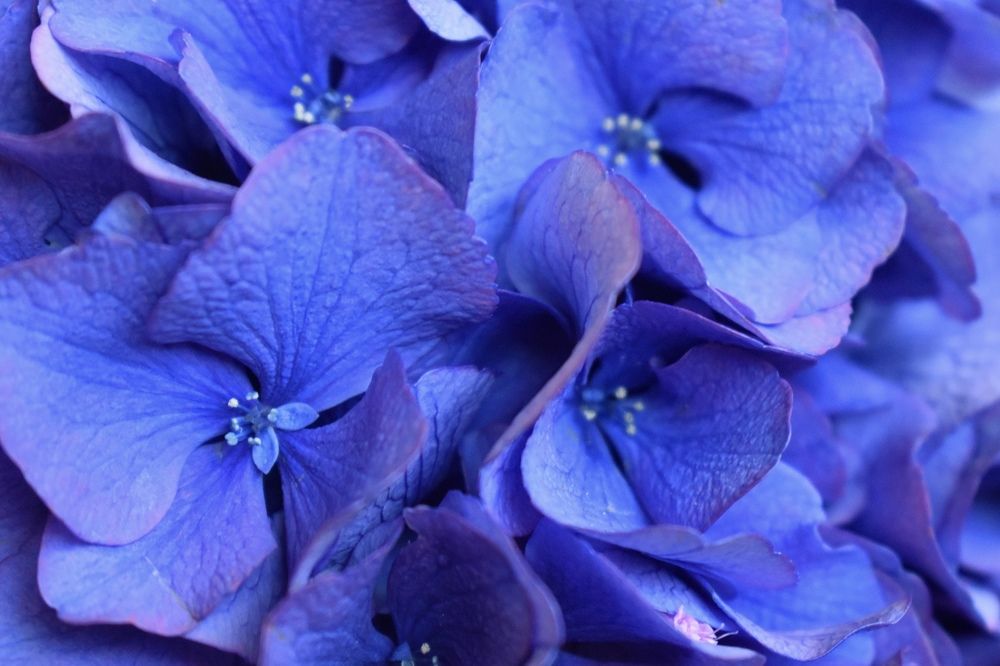 Photograph by Кира Бахвалова