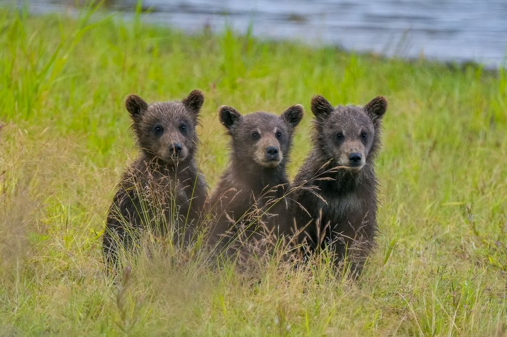 Photograph by Илья Труханов