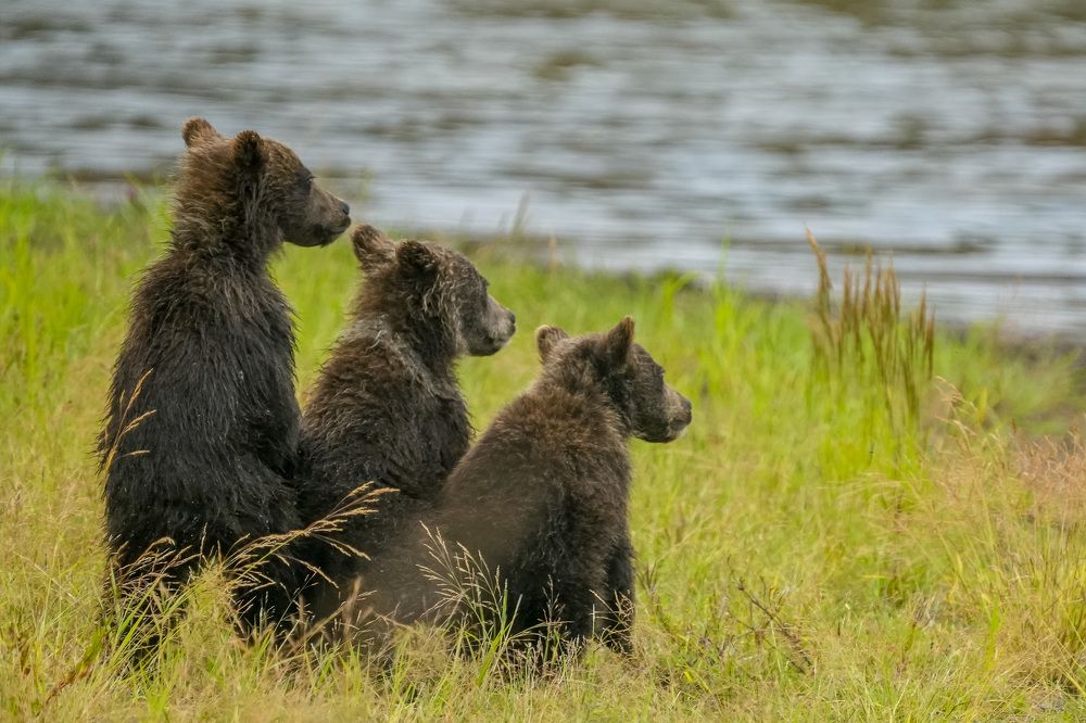 Photograph by Илья Труханов