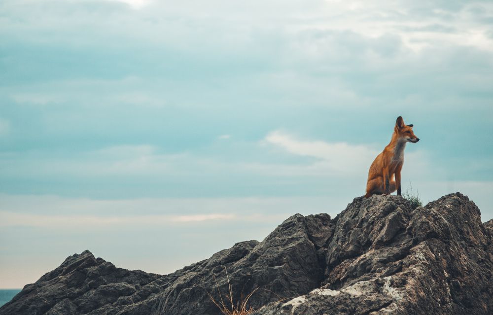 Photograph by Львова Люси