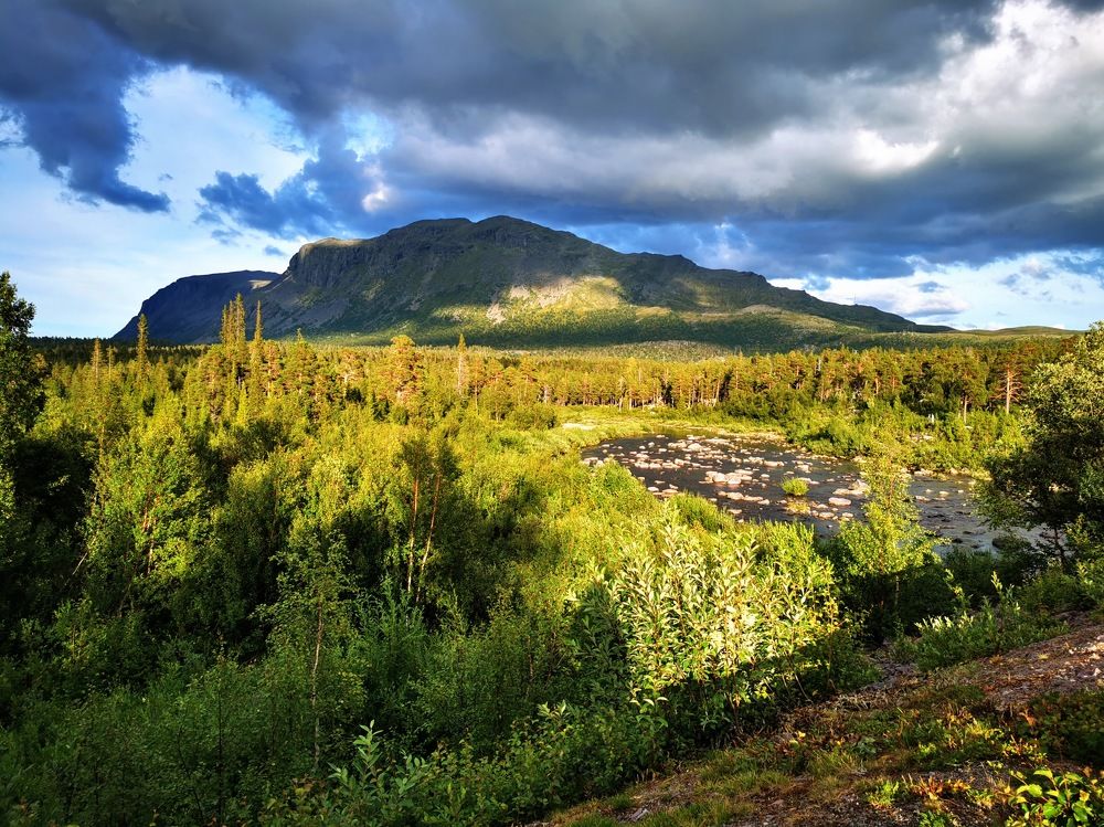 Photograph by Svetlana Jegorova