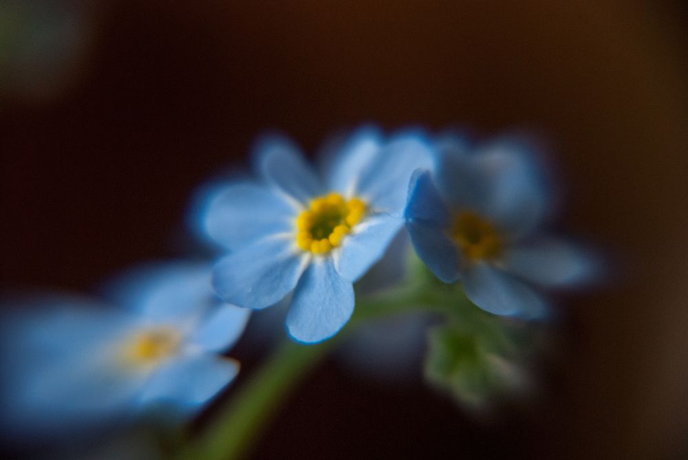 Photograph by Waldemar Gocałek
