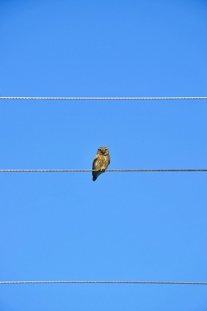 Photograph by Ehsan Fathi