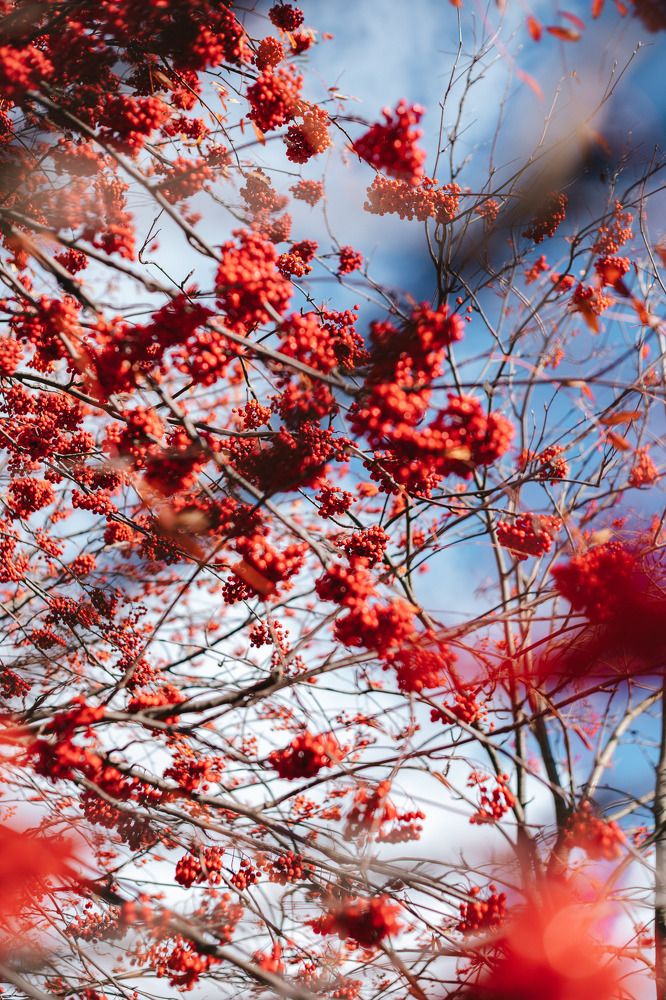 Photograph by Людмила Пахомова