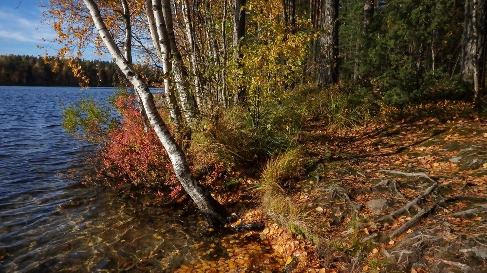 Фотография автора Boris Yakovlev