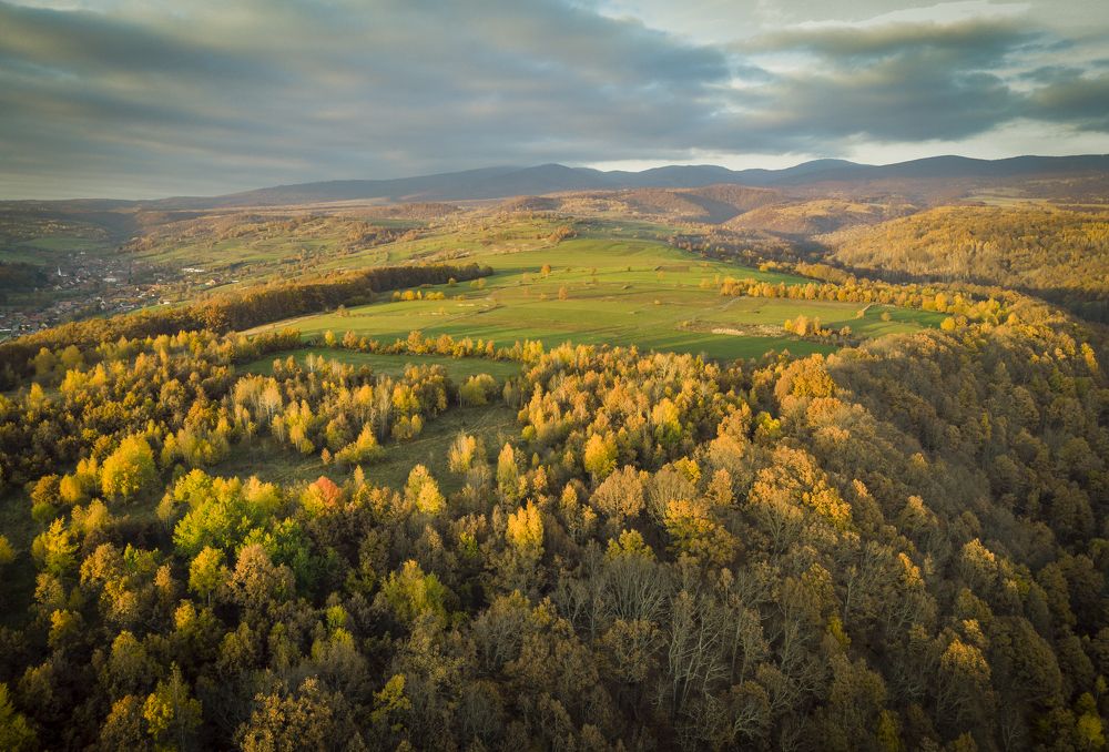 Photograph by TURCZA HUNOR