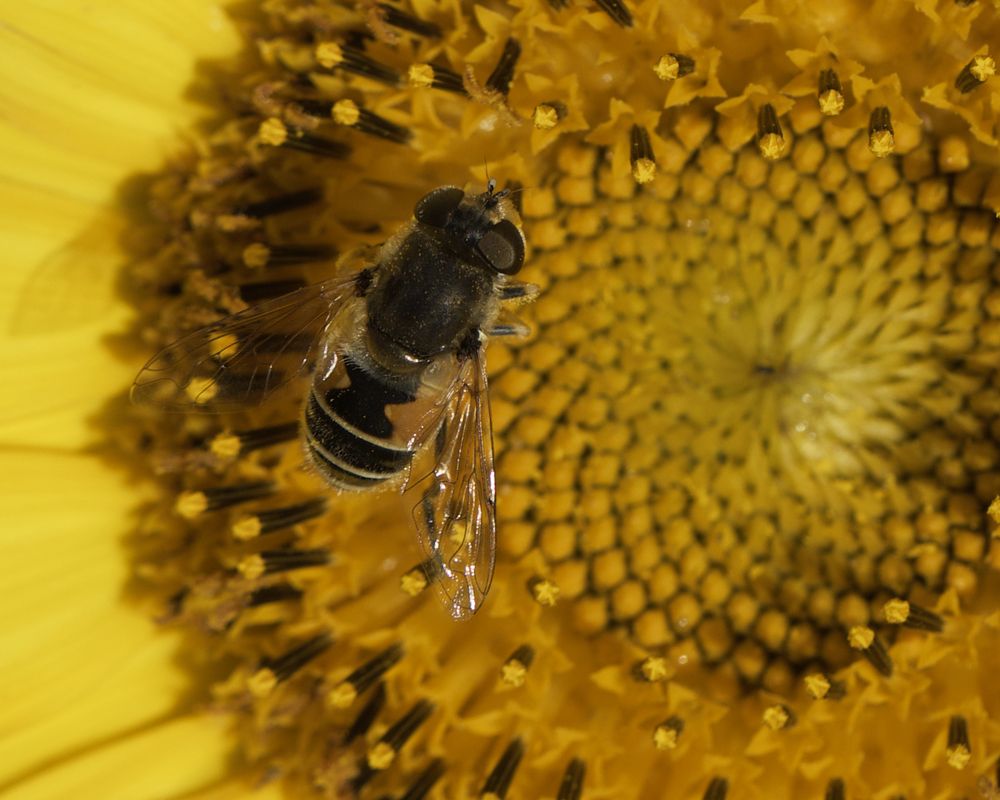 Photograph by Ирина Серегина