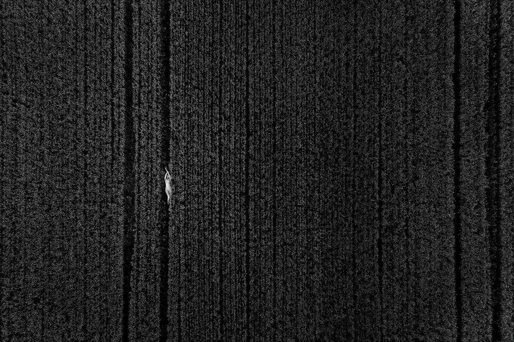 Photograph by TURCZA HUNOR