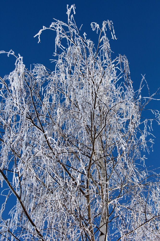 Photograph by Андрей