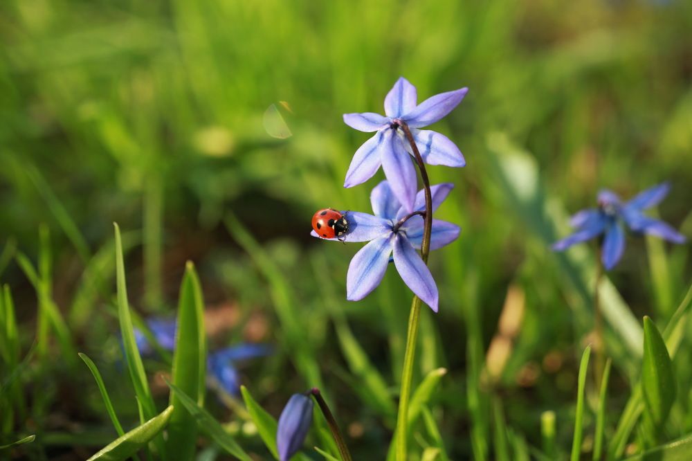 Photograph by Анастасия Рысь