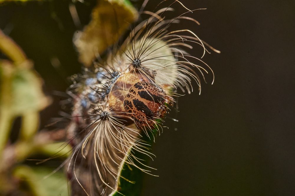 Фотография автора Игорь Игоревич