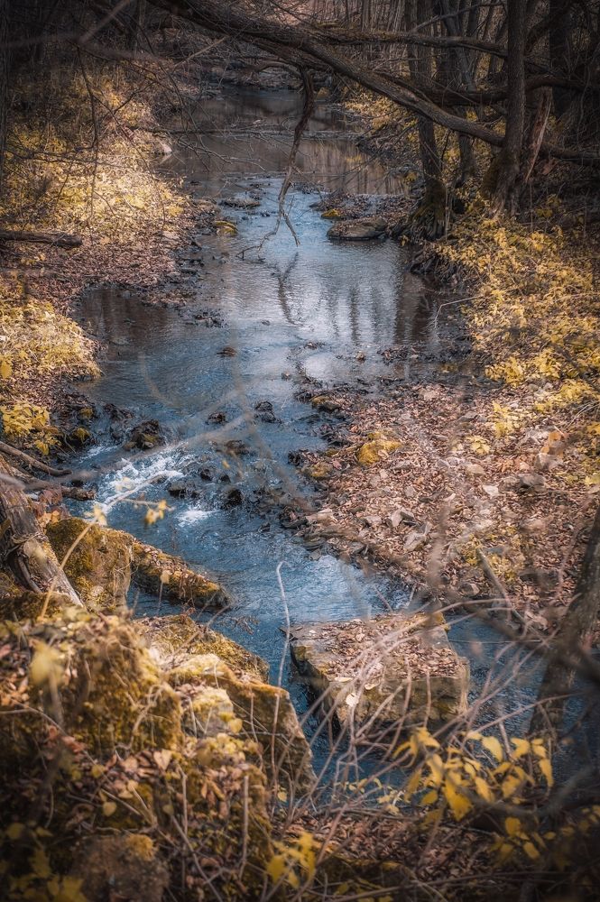 Photograph by Елена Раздвилова