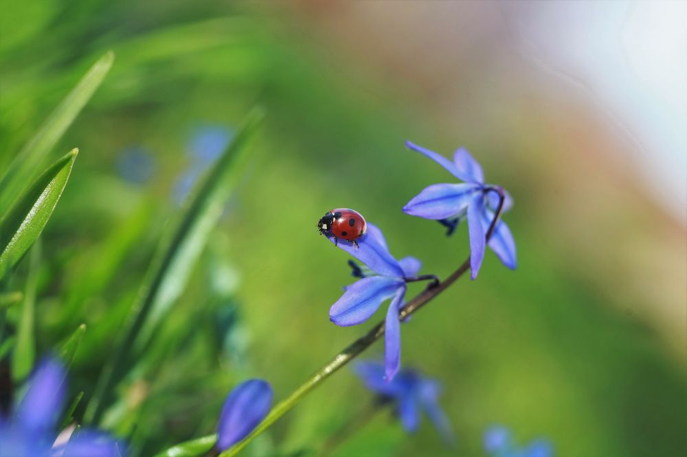 Photograph by Анастасия Рысь