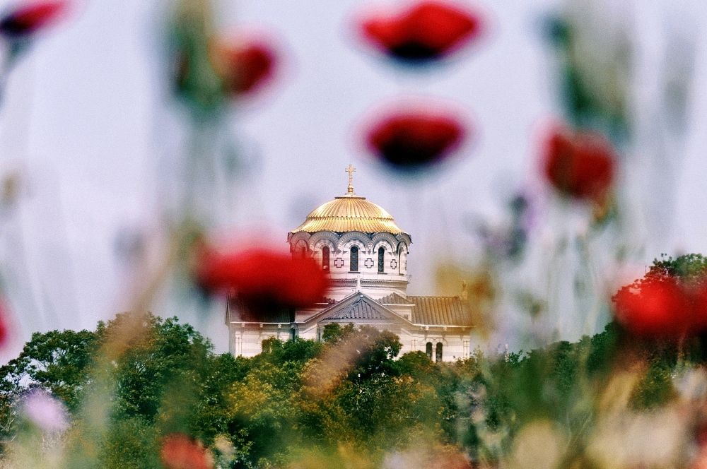 Маки и собор