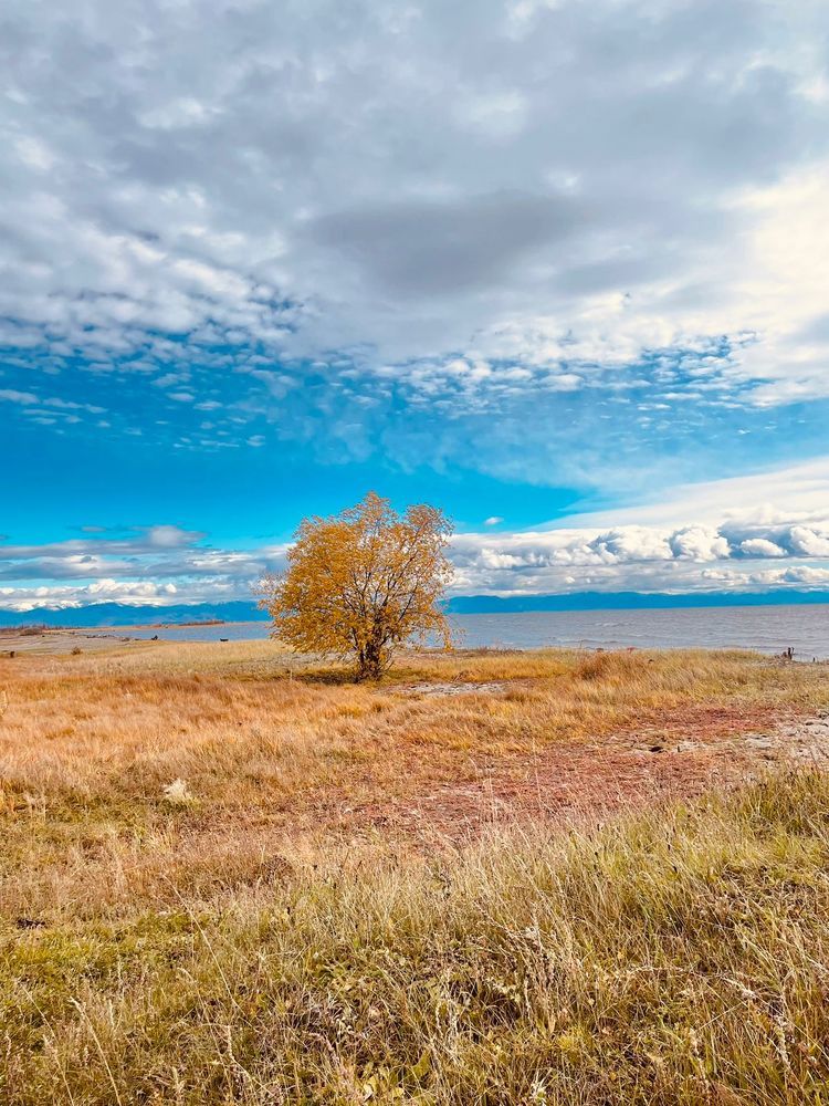 Photograph by Оксана Решетник