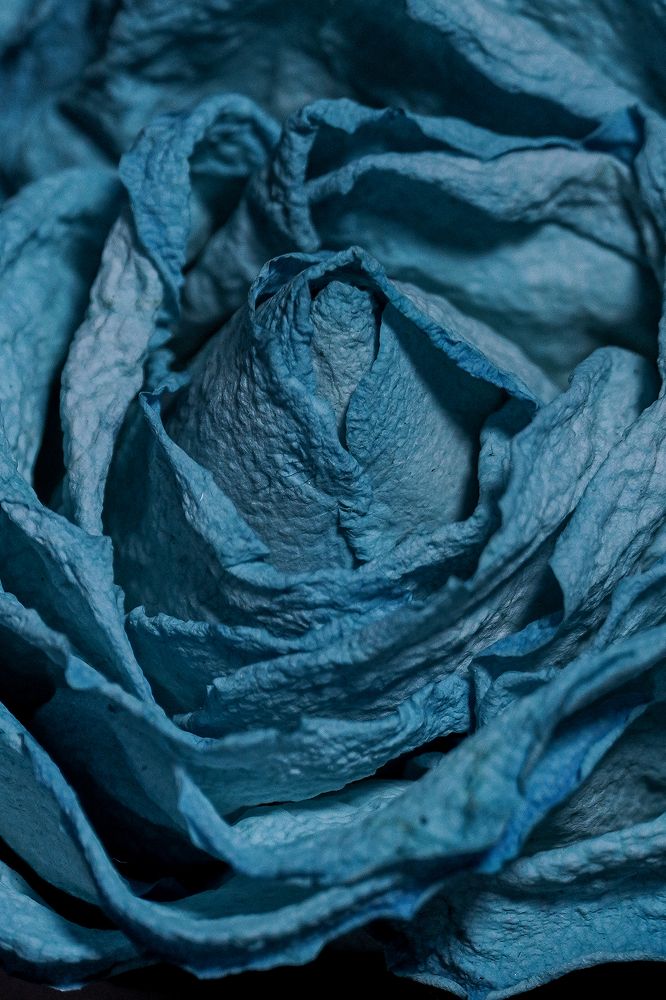 Photograph by Ольга Ларизадех