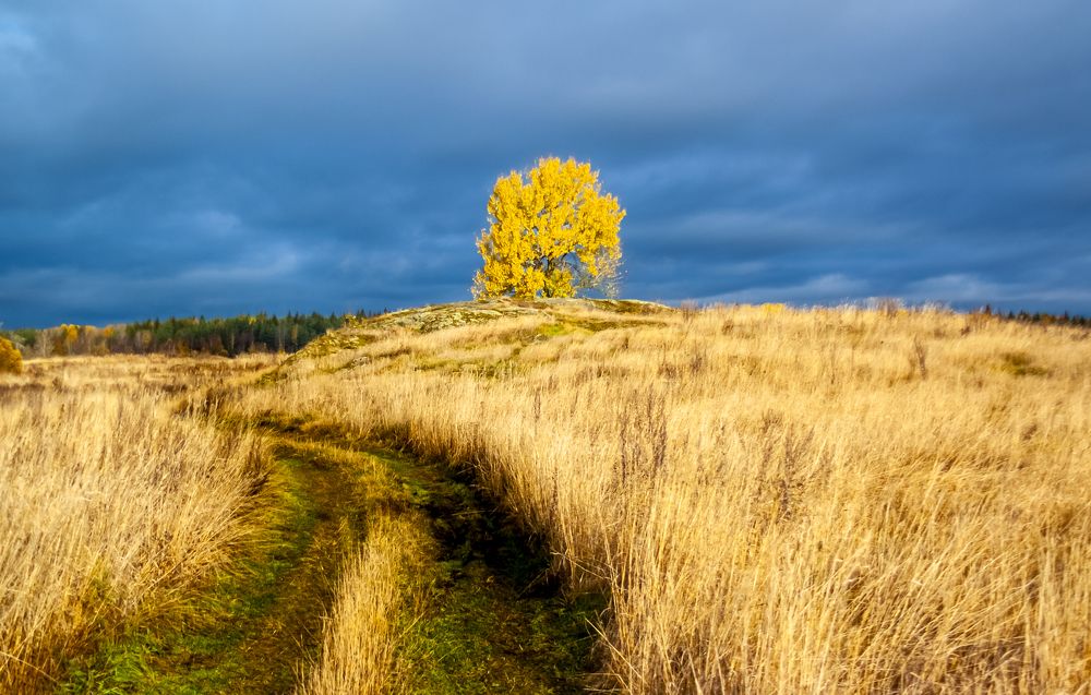 Photograph by Дмитрий Бутин