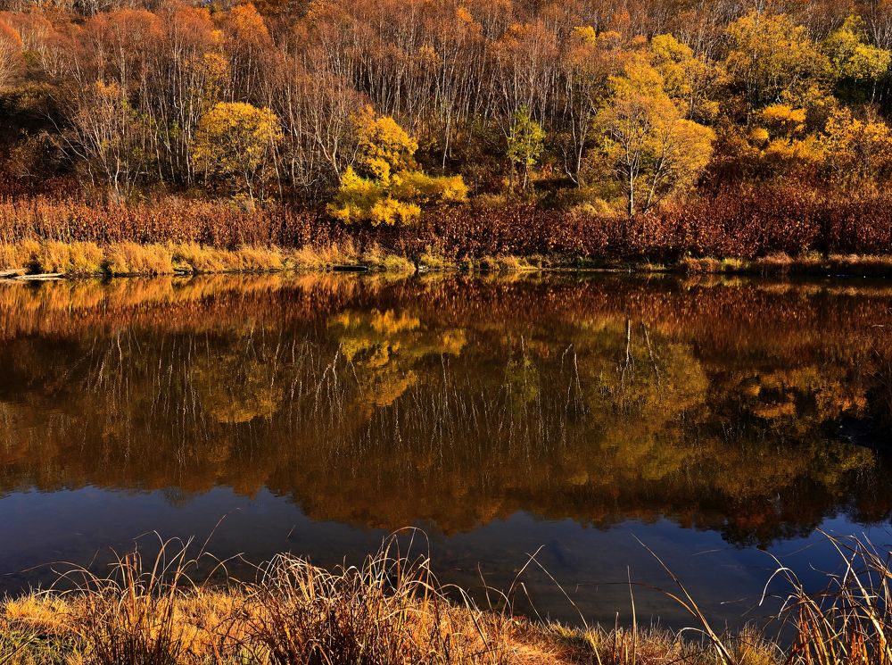 Photograph by Александр Мухин