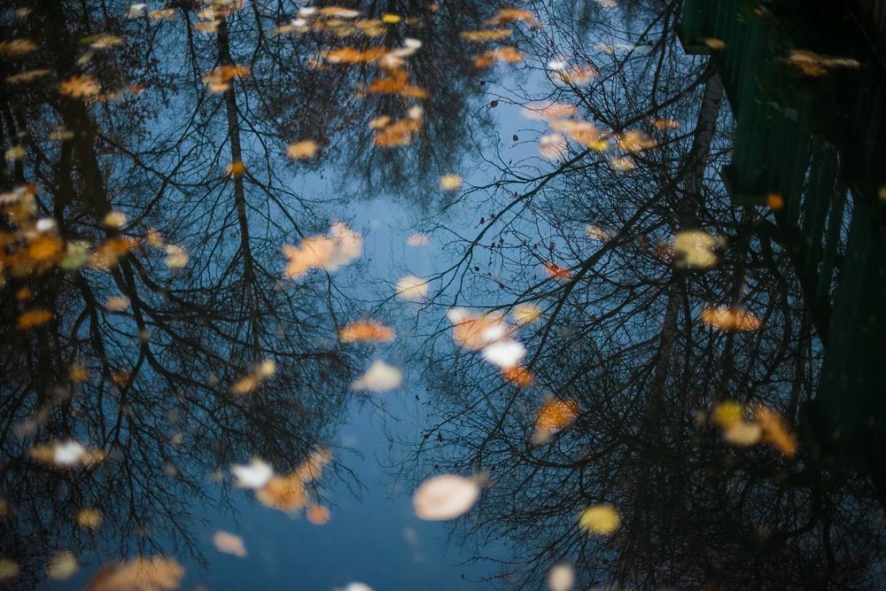 Photograph by Анна Чеснокова