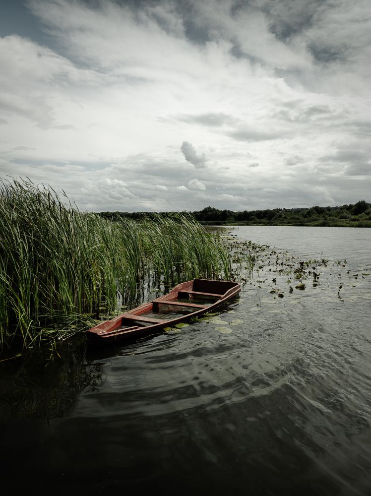 Photograph by Алексей Юдин