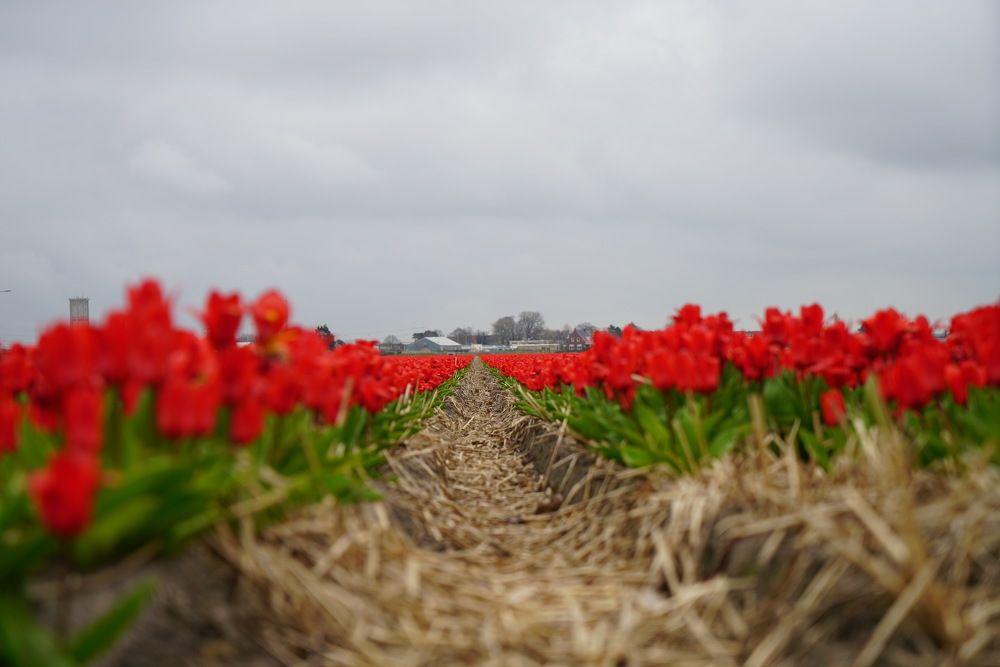 Фотография автора Владимир Хащанский