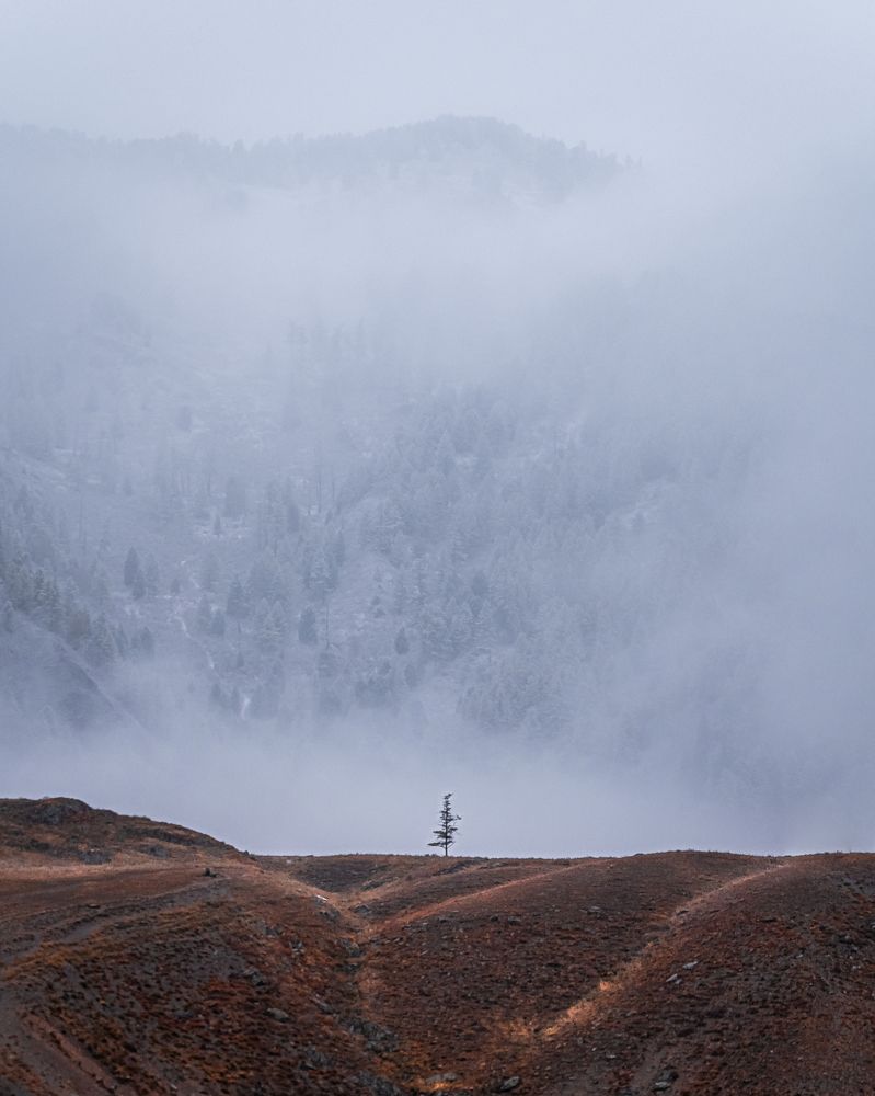 Photograph by Серж Девтов