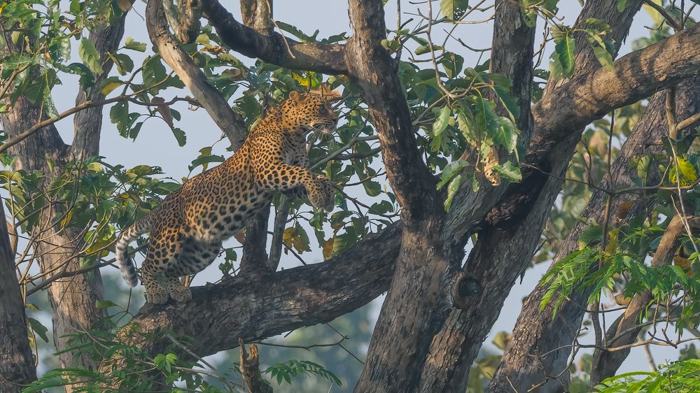 Photograph by Venkat Mangudi