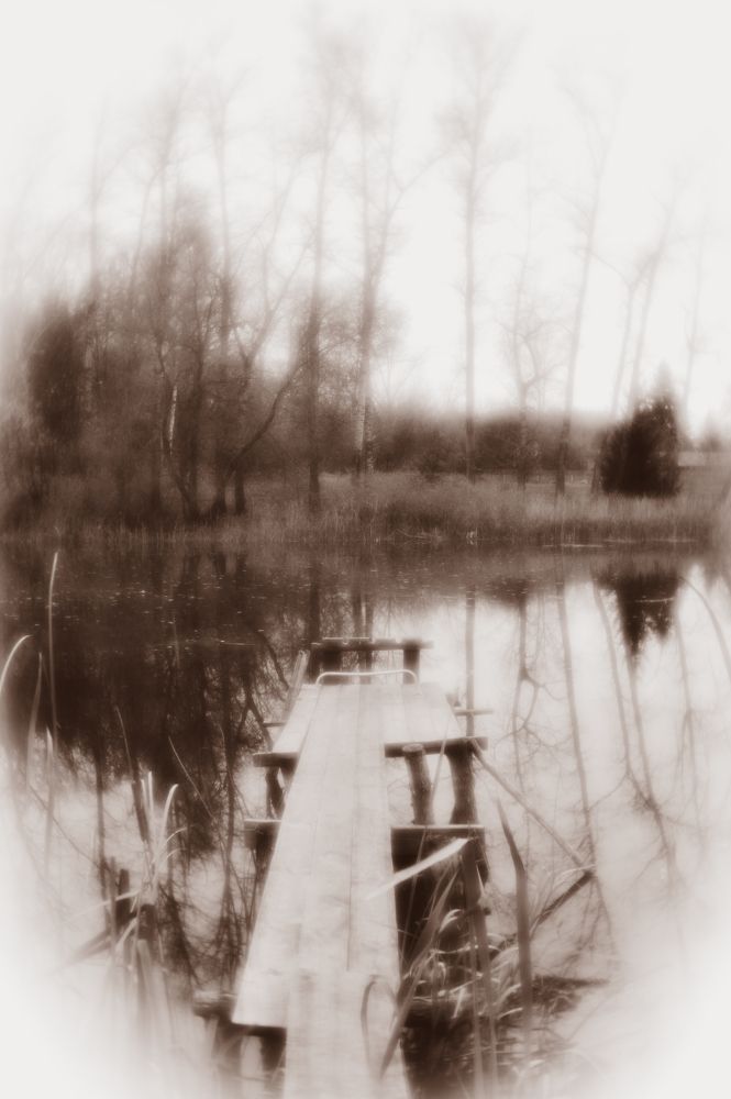 Photograph by Владимир Щеголев