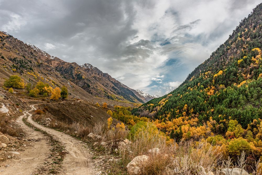 Photograph by Anatoly