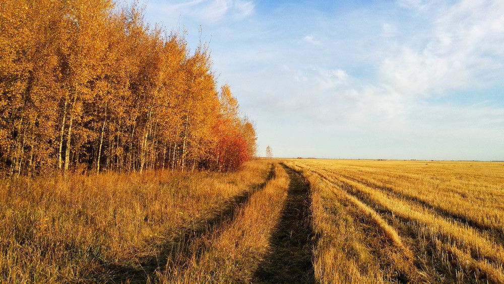 Photograph by Ирина Алпацкая