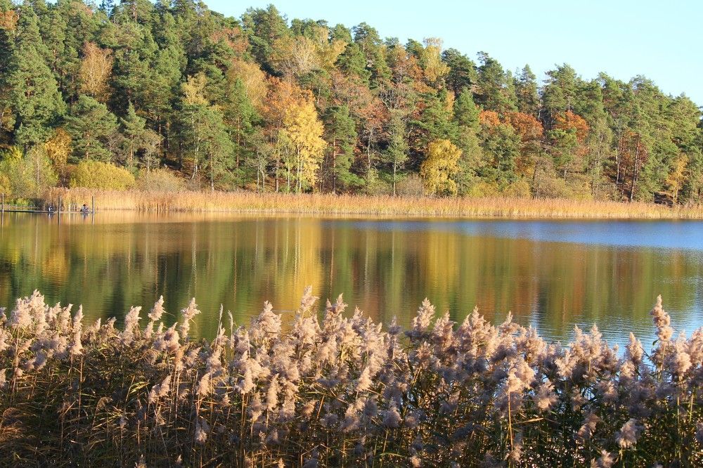 Photograph by Lena Feldman