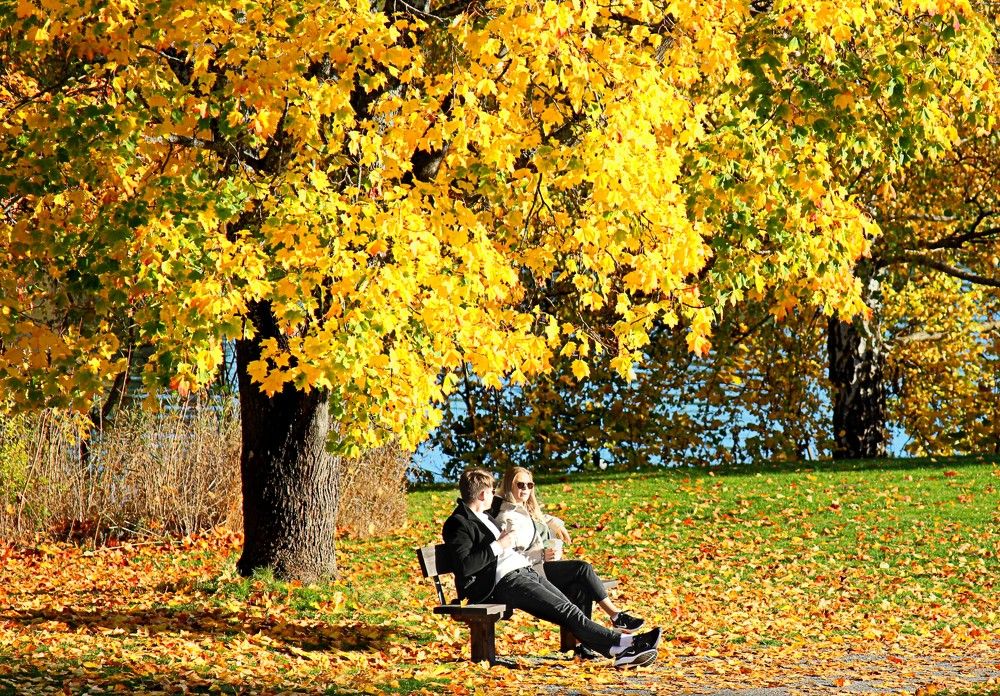 Photograph by Lena Feldman