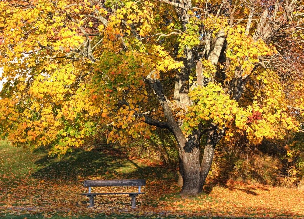 Photograph by Lena Feldman