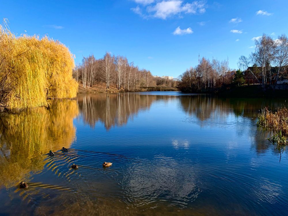 Photograph by Виталий Гибадулин