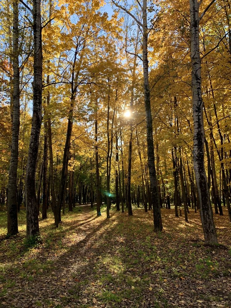 Photograph by Виталий Гибадулин