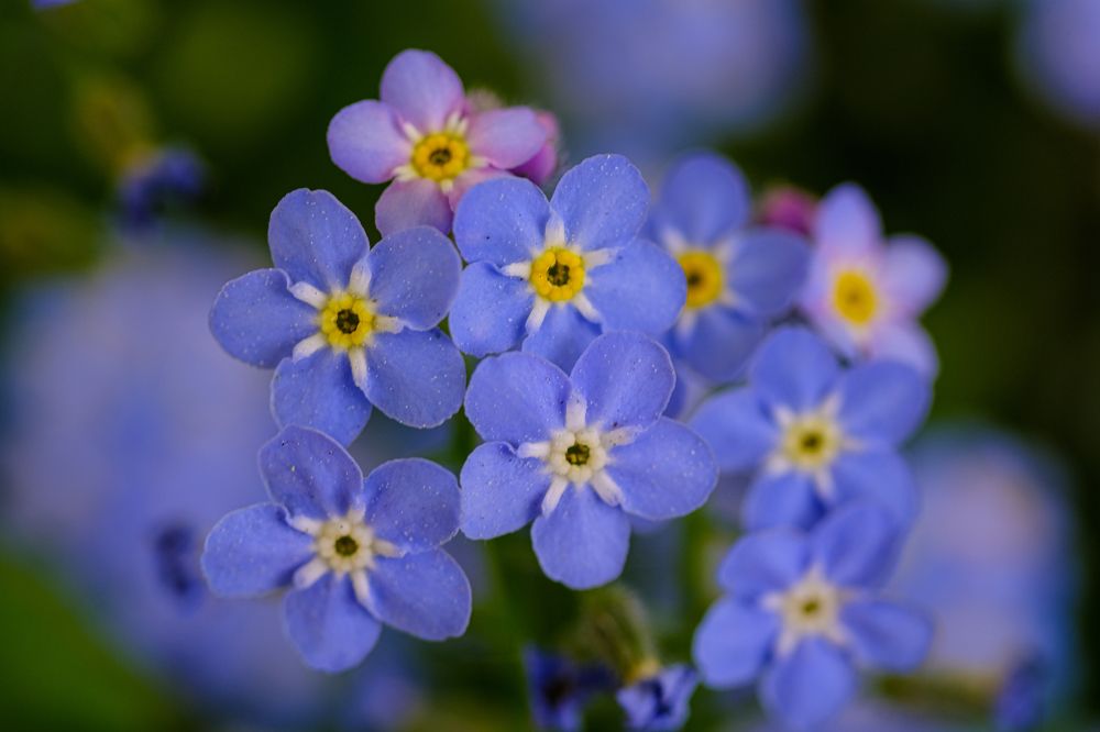 Photograph by Ольга Тюрина