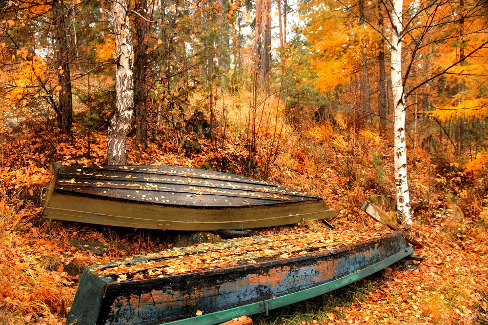 Photograph by федотов Алексей