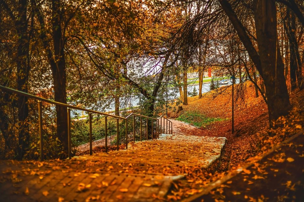 Photograph by Паша Савельев