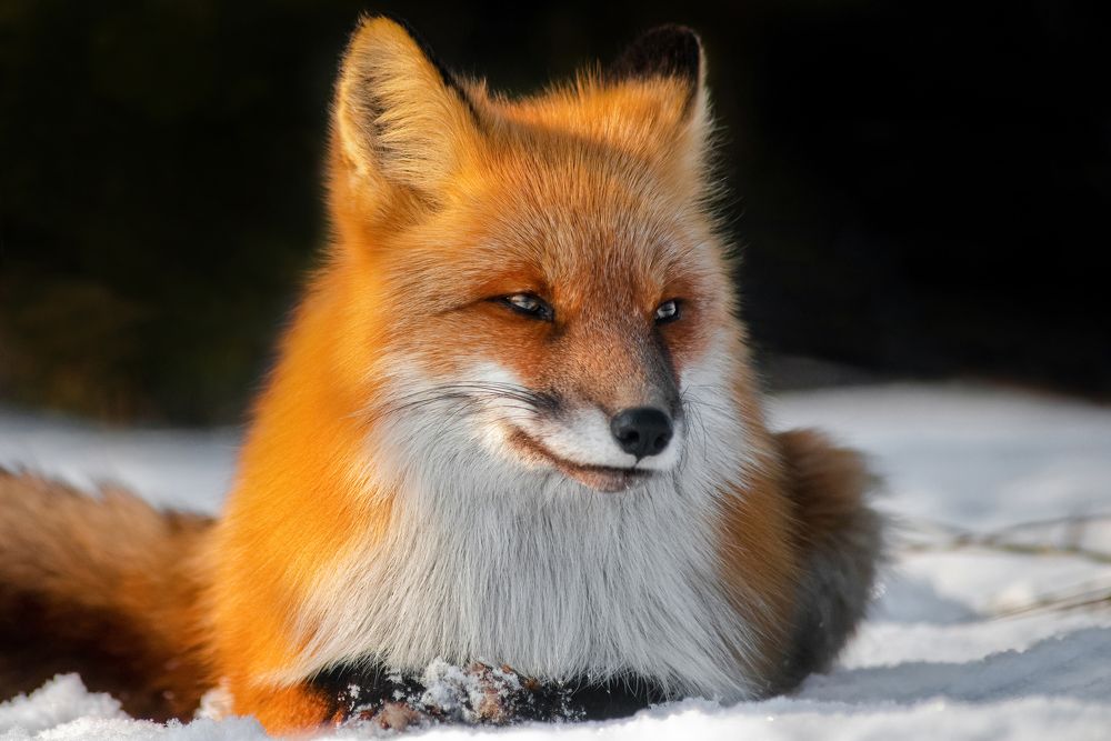 Photograph by Вероника Романенко