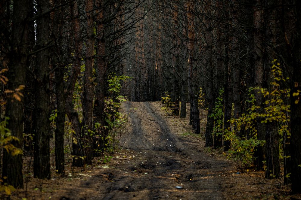 Photograph by Андрей Шабис