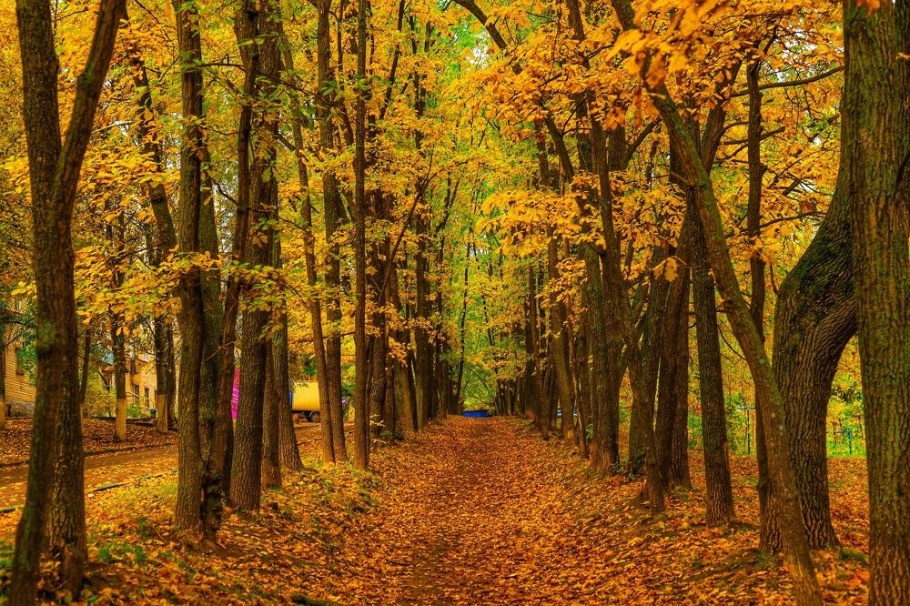 Photograph by Паша Савельев