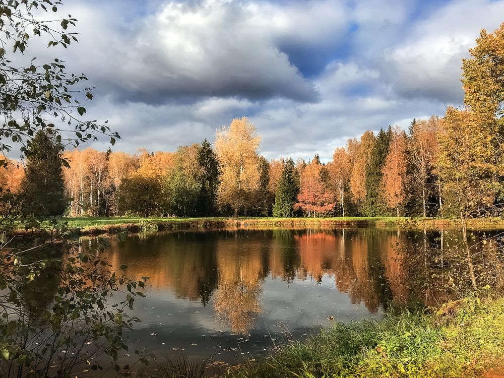 Осень в Павловском парке