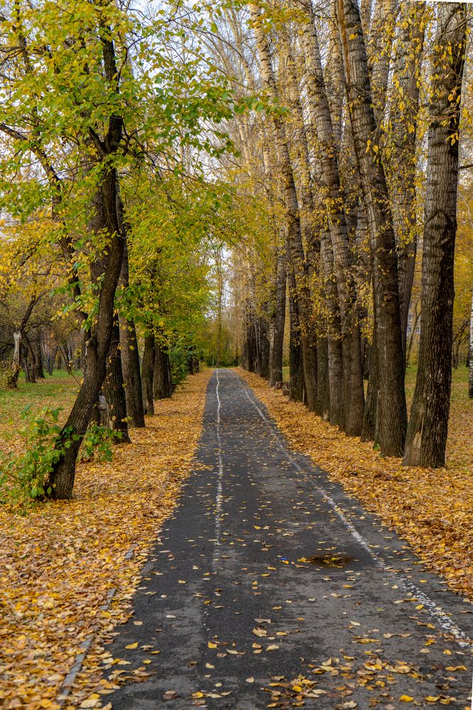 Фотография автора Виталий Гавронский